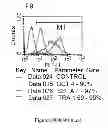Fig. 166 - Microcarriers for stem cell culture