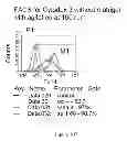 Fig. 167 - Microcarriers for stem cell culture