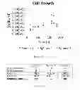 Fig. 243 - Microcarriers for stem cell culture
