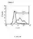 Fig. 67 - Microcarriers for stem cell culture