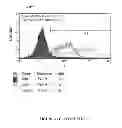 Fig. 77 - Microcarriers for stem cell culture