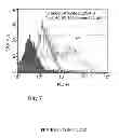 Fig. 82 - Microcarriers for stem cell culture