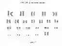 Fig. 97 - Microcarriers for stem cell culture