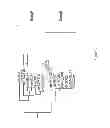 Fig. 04 - Methods for making anterior foregut endoderm