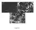 Fig. 07 - Methods for making anterior foregut endoderm
