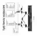 Fig. 19 - Methods for making anterior foregut endoderm