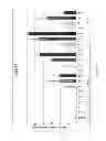 Fig. 20 - Methods for making anterior foregut endoderm