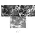 Fig. 07 - EXPANSION OF DEFINITIVE ENDODERM CELLS