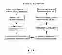 Fig. 10 - Particle based biologically active molecule delivery systems