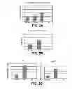Fig. 03 - Direct differentiation of cardiomyocytes from embryonic stem cells