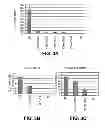 Fig. 04 - Direct differentiation of cardiomyocytes from embryonic stem cells