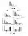 Fig. 05 - Direct differentiation of cardiomyocytes from embryonic stem cells