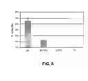 Fig. 07 - Direct differentiation of cardiomyocytes from embryonic stem cells