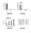 Fig. 08 - Direct differentiation of cardiomyocytes from embryonic stem cells