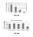 Fig. 09 - Direct differentiation of cardiomyocytes from embryonic stem cells