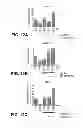 Fig. 13 - Direct differentiation of cardiomyocytes from embryonic stem cells
