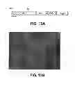Fig. 14 - Direct differentiation of cardiomyocytes from embryonic stem cells