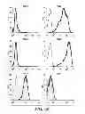 Fig. 04 - METHODS AND COMPOSITIONS FOR HOMOLOGOUS RECOMBINATION IN HUMAN CELLS