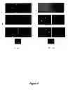 Fig. 09 - Introduction of modular vector elements during production of a lentivirus