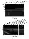 Fig. 02 - Electrotransformation of Clostridium pasteurianum