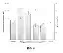 Fig. 07 - Electrotransformation of Clostridium pasteurianum