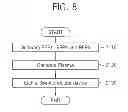 Fig. 09 - Method of plasma processing and apparatuses using the method