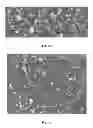 Fig. 04 - Production of Highly Concentrated Solutions of Self-Assembling Proteins