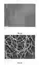 Fig. 05 - Production of Highly Concentrated Solutions of Self-Assembling Proteins