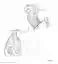 Fig. 04 - TOY WITH INTERCHANGEABLE HAIR COMPONENTS