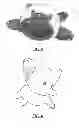Fig. 04 - Infant Development Toy