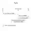 Fig. 06 - Method and apparatus for verification of a telephone number