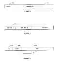 Fig. 13 - Interactive system and process