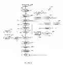 Fig. 19 - Interactive system and process