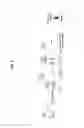 Fig. 02 - METHOD FOR DISCOVERY IN DEVICE-TO-DEVICE COMMUNICATIONS AND APPARATUS FOR THE SAME