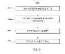 Fig. 09 - Strum pad