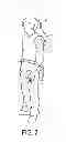 Fig. 06 - Amusement ride back shield