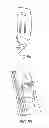 Fig. 09 - Amusement ride back shield