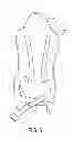 Fig. 10 - Amusement ride back shield