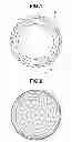 Fig. 02 - Multi-piece solid golf ball