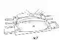 Fig. 07 - Blade constructs and methods of forming blade constructs