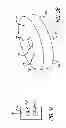 Fig. 04 - SPEED AND/OR AGILITY TRAINING DEVICES AND SYSTEMS AND METHODS OF USE THEREOF