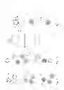 Fig. 02 - Multiplex capture of nucleic acids