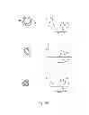 Fig. 03 - Multiplex capture of nucleic acids