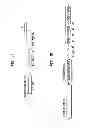Fig. 02 - Method for analyzing methylation of a genome