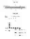 Fig. 08 - Method for analyzing methylation of a genome