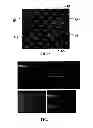 Fig. 03 - Microfluidic device for extracting, isolating, and analyzing DNA from cells