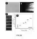 Fig. 09 - Microfluidic device for extracting, isolating, and analyzing DNA from cells