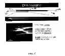 Fig. 11 - Microfluidic device for extracting, isolating, and analyzing DNA from cells
