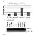 Fig. 07 - METHODS AND COMPOSITIONS FOR RAPID FUNCTIONAL ANALYSIS OF GENE VARIANTS