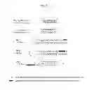 Fig. 07 - METHOD FOR PREPARING NUCLEIC ACID APTAMER